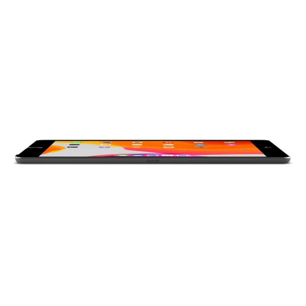 Lámina Belkin Privacy iPad 7ma Generación Removible