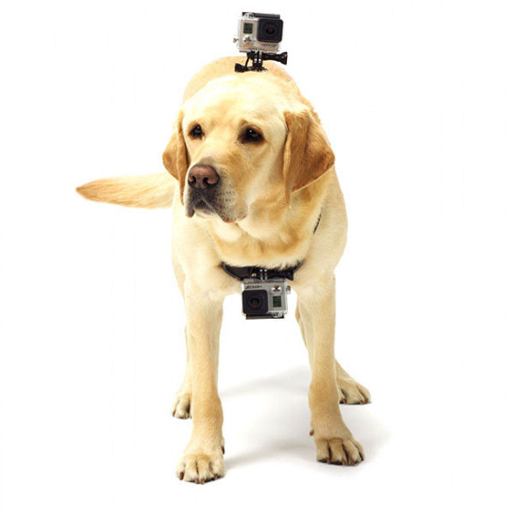 Arnes para perros GoPro ADOGM-001 Fetch dog